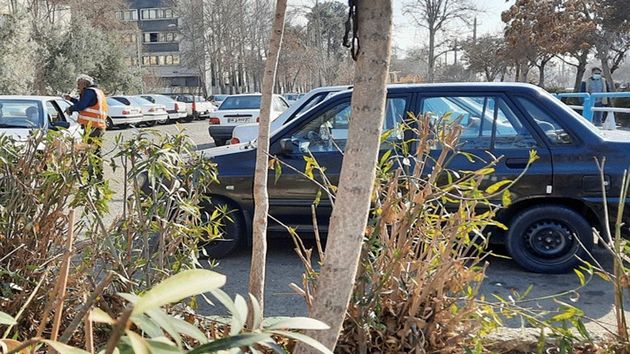 جولان پارکبانهای قلابی در مناطق شمالی تهران