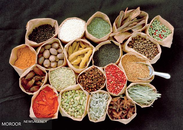 بررسی تحت پوشش بیمه قرار گرفتن خدمات طب سنتی در شورای عالی بیمه طی 20 روز آینده