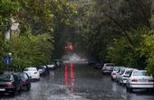 پیش بینی بارش پراکنده باران در تهران