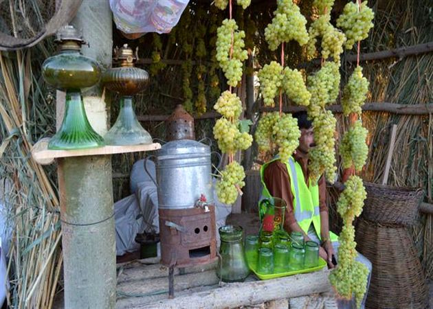 "دوشاب پزان" ظرفیت کشاورزان ارومیه را به نمایش گذاشت