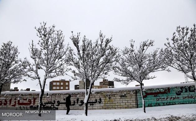 غافلگیری اردبیلی ها با برف پاییزی