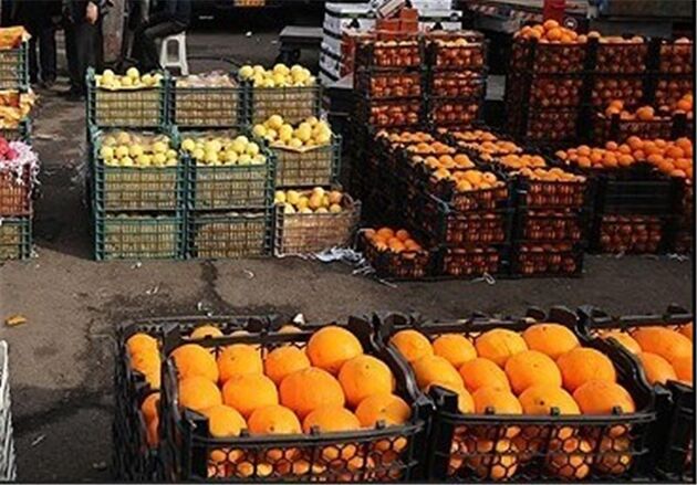 کشف 22 تن میوه خارجی در یک دستگاه کامیون بنز