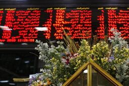 تنوع در تالار کشاورزی با عرضه ۷۶ هزار تن محصول

