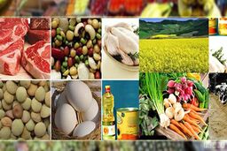 قیمت دام زنده نسبت به سال ۹۷ کاهشی بوده است