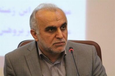 جنس بازار سرمایه به گونه‌ای است که باید مداخله دولت به حداقل برسد