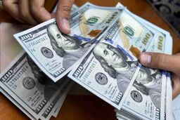 قیمت ارز امروز ۲۵ اسفند ۱۴۰۲ در بازار آزاد تهران مشخص شد
