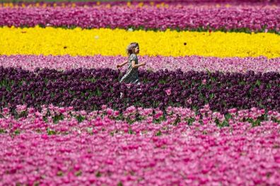 عکس/ جشنواره گل لاله در کانادا

