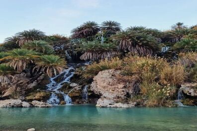 عکس/ سمفونی آب، صخره و نخل
