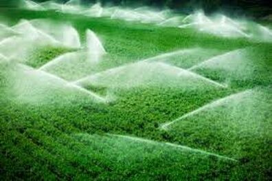 پیش‌بینی 112 میلیارد تومان برای آبیاری تحت فشار