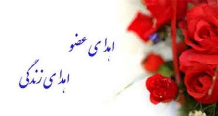 اعضای بدن دو بیمار یزدی اهدا شد