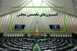 کمیسیون ‌های تخصصی مجلس از ۲۵ خرداد رسماً کار خود را آغاز می‌ کنند