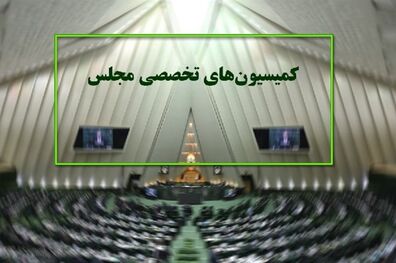 کمیسیون ‌های تخصصی مجلس از ۲۵ خرداد رسماً کار خود را آغاز می‌ کنند
