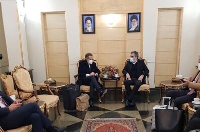 رافائل گروسی بامداد امروز وارد تهران شد