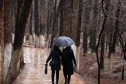 
کاهش دما در پایتخت از امروز تا سه‌شنبه
