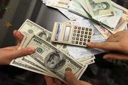 بانک مرکزی جز برای سفر تعهدی برای فروش ارز ندارد