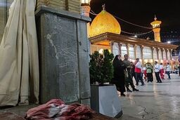 عامل حمله تروریستی حرم شاهچراغ افغانستانی نیست