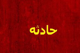 شوتی‌ها دوباره حادثه ساز شدند
