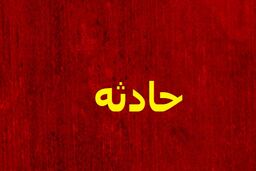 شوتی‌ها دوباره حادثه ساز شدند
