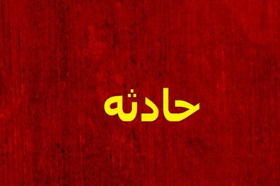 سگ ولگرد جان کودک هشت ساله را گرفت