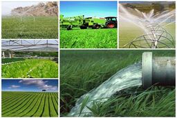 اتاق اصناف کشاورزی ایران تشکیل می شود