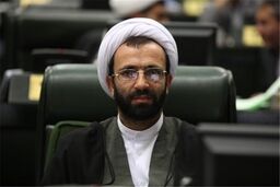 بالارفتن نرخ گوشت،تیرآهن ، اجاره بهای مسکن و انتقاد از وزیر معدن