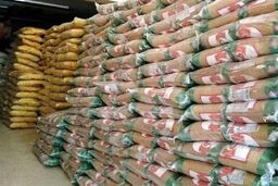 نهایی شدن تصمیم برای ممنوعیت یا واردات برنج بزودی