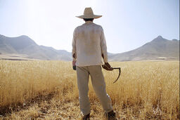 چک روز در ازای خرید گندم به کشاورزان می‌دهم