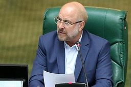 دولت و بانک مرکزی همکاری لازم را با مجلس برای حل مشکلات توزیع نهاده های دامی داشته باشند
