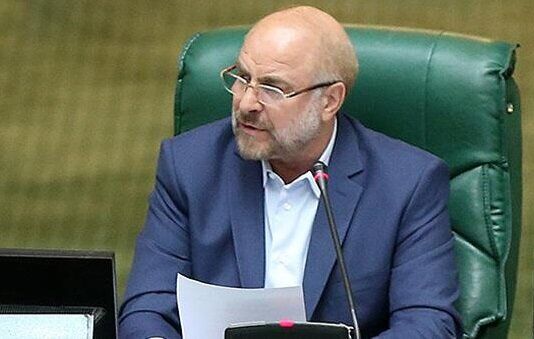 دولت و بانک مرکزی همکاری لازم را با مجلس برای حل مشکلات توزیع نهاده های دامی داشته باشند