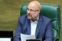 دولت و بانک مرکزی همکاری لازم را با مجلس برای حل مشکلات توزیع نهاده های دامی داشته باشند