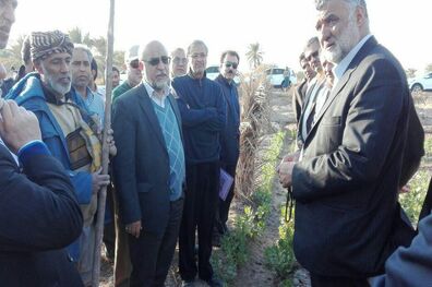 وزیر جهاد کشاورزی از اراضی ۵۵۰ هزار هکتاری بازدید کرد