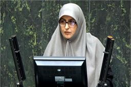 بخش سنتی جامعه مخالف حضور پررنگ زنان در عرصه اجرایی است