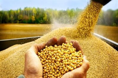 تأمین و تخصیص ارز و واردات نهاده ‌ها کمتر شده است