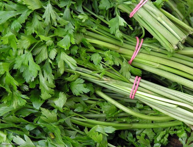  سبزی ارزان می شود/ سبزیجات گلخانه ای عامل گرانی