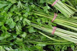 سبزی ارزان می شود/ سبزیجات گلخانه ای عامل گرانی