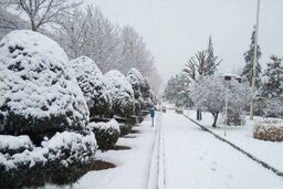 ماندگاری هوای سردتا جمعه