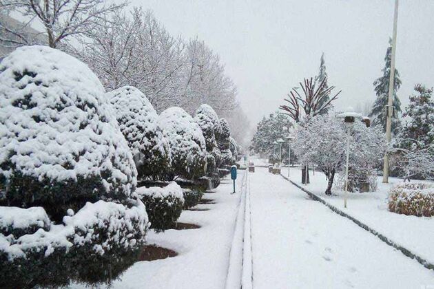 بارش زیبای برف در آستارا