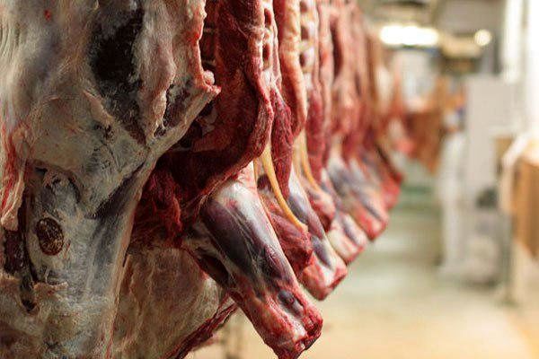 رشد تولیدات دام و طیور کرمانشاه در دولت تدبیر و امید