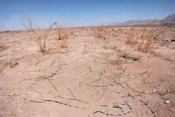 طرح های انتقال آب را متوقف کنید