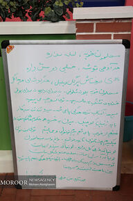 بازدید از محله گل و بلبل 2