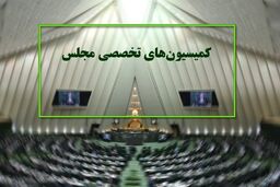 سازوکار ورود نمایندگان میان دوره‌ای به کمیسیون‌های مجلس مشخص شد
