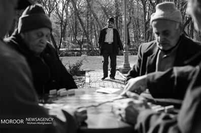 نیمکت های سرد پایتخت همدم تنهایی جوانان  دیروز