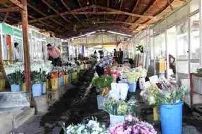 مهار آتش سوزی گل فروشی در شاهین شهر اصفهان