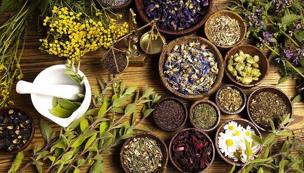 ۲۰ طرح برای هوشمندسازی ابزار تولید گیاهان دارویی اجرایی شد
