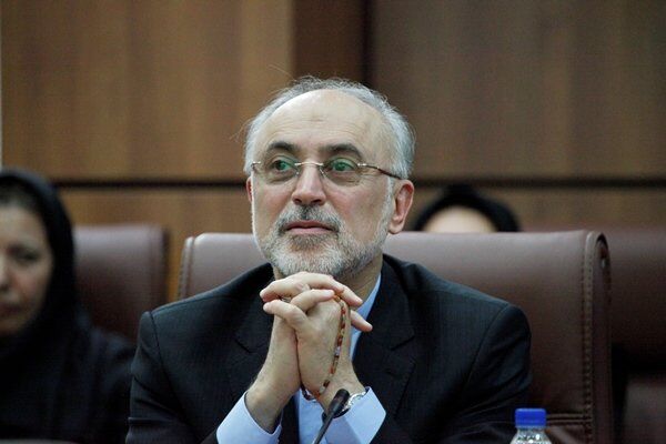 پیام تسلیت صالحی به مناسبت درگذشت استاد موذن‌زاده اردبیلی