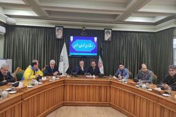 تعطیلی تهران کمک بزرگی به تامین گاز کشور کرد