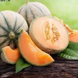 از کجا بفهمیم کدام طالبی شیرین است؟