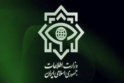 باند قاچاق نقره از چین توسط وزارت اطلاعات متلاشی شد