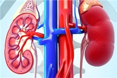 ارتباط چاقی با بیماری های کلیوی