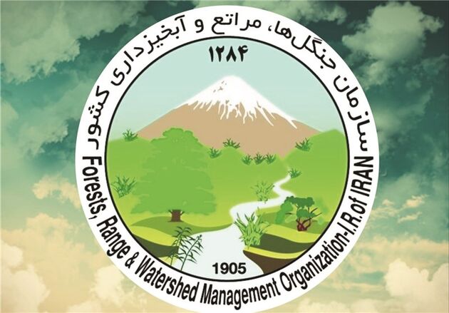پیام تسلیت سازمان جنگل‌ها در پی درگذشت خبرنگاران محیط زیست